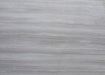 WOODEN WHITE