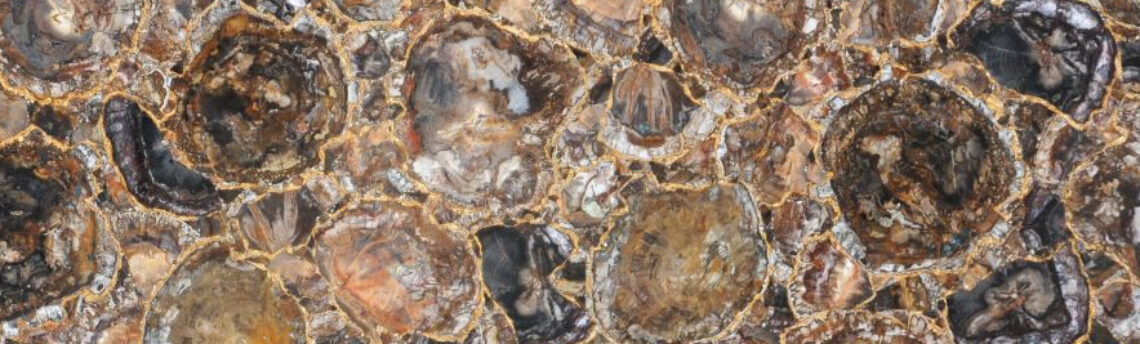 PETRIFIED WOOD BROWN AND GOLD