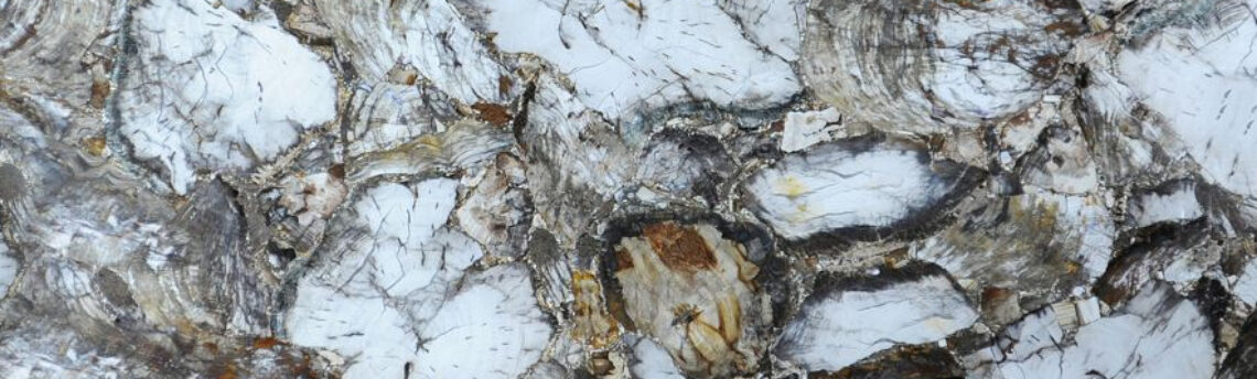 PETRIFIED WOOD WHITE