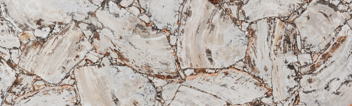 PETRIFIED WOOD WHITE LEATHER