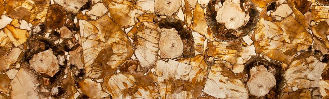 PETRIFIED WOOD YELLOW