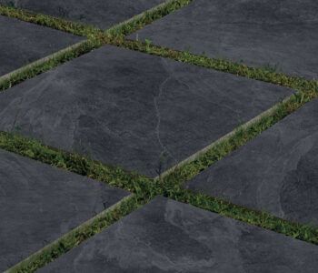 Slate Black on Grass