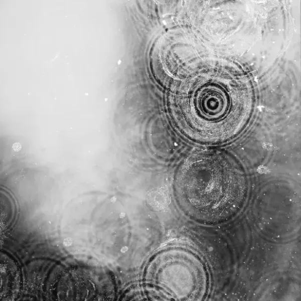 LIQUID DREAMS COLLECTION